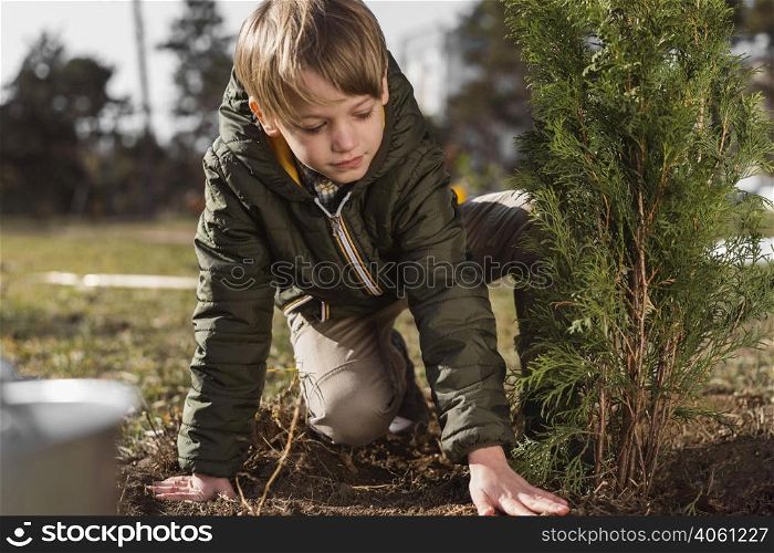 young boy planting tree outdoors