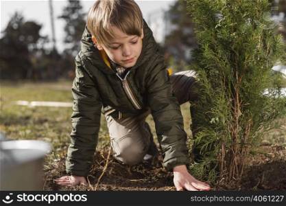 young boy planting tree outdoors