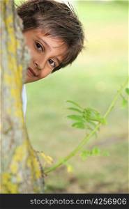 Young boy playing peek a boo around a tree
