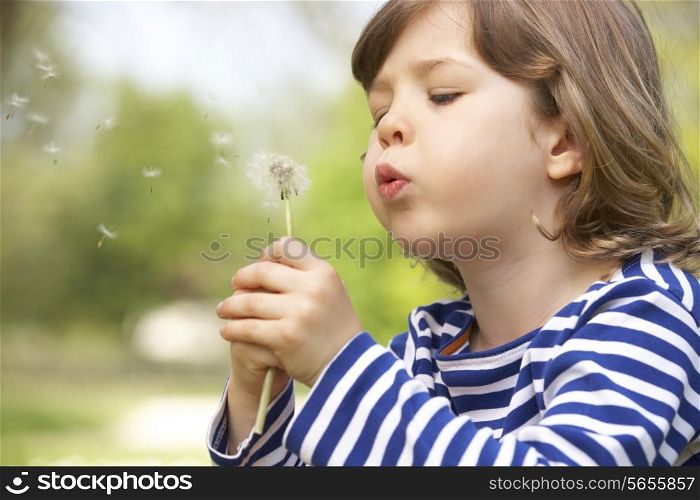 Young Boy Sitting In Field Blowing Dandelion