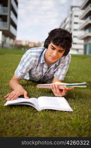 Young boy studying at the park