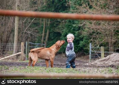Young boy walking with his dog, photographed through a gate