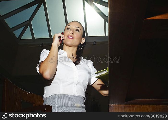 Young business woman on the phone