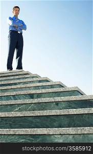 Young Businessman at the Top of Steps