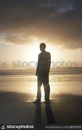 Young Businessman Standing on the Beach