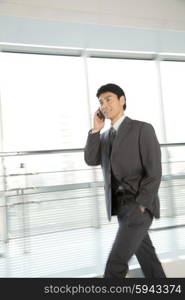 Young Businessman Talking on the Phone