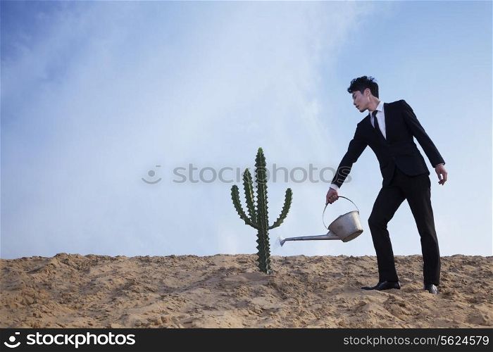 Young businessman watering a cactus in the desert