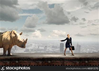 Young businesswoman with suitcase walking with rhino on lead. Protect animals