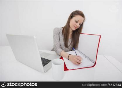 Young businesswoman writing in book at office desk