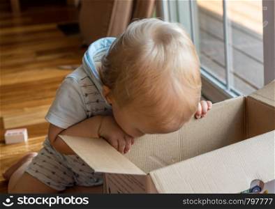 Young caucasian toddler looking and reaching inside a cardboard box with a serious expression. Young baby boy investigating a cardboard box and looking inside