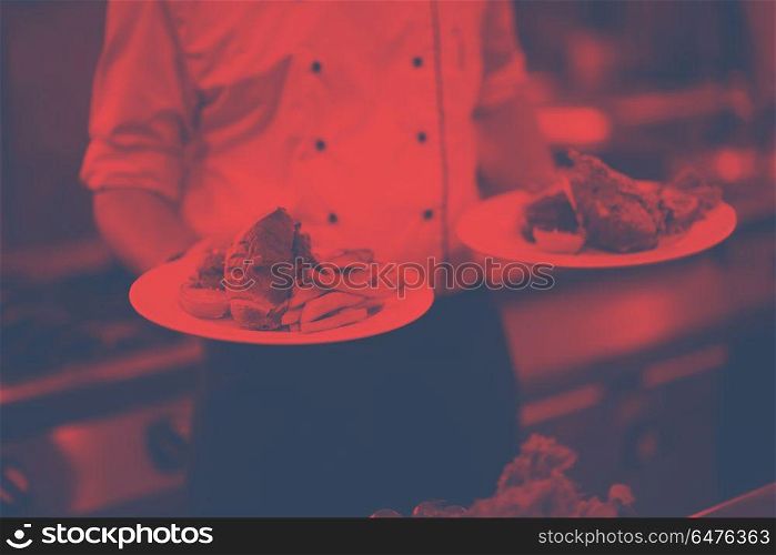 young Chef presenting dishes of tasty meals in commercial kitchen. Chef showing dishes of tasty meals