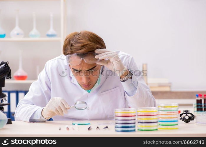 Young chemist working in the lab 