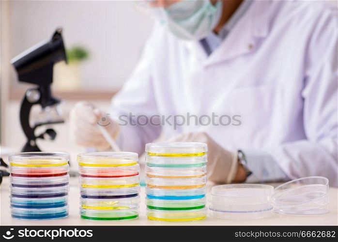 Young chemist working in the lab . The young chemist working in the lab 