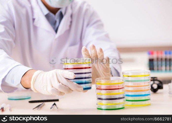 Young chemist working in the lab . The young chemist working in the lab 