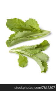 Young Chinese cabbage leaves on white background