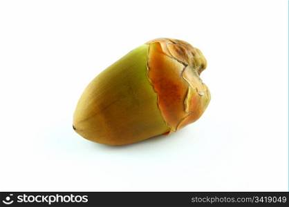 Young coconut fruit on white background.