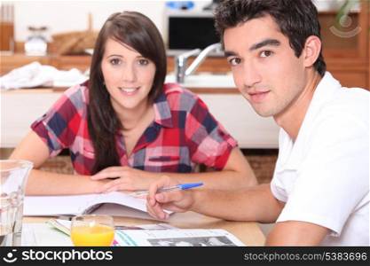 Young couple doing coursework