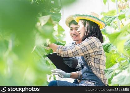 Young couple farmers checking their cantaloupe melons farm, woman and man check quality melon together and take notes on paper in the garden greenhouse, Agricultural fresh organic concepts