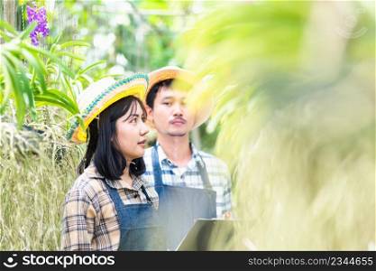 Young couple farmers checking their orchid gardening farm, woman and man check quality of orchid flower by magnifying glass together and take notes in garden greenhouse, Agricultural concepts