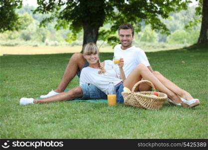 Young couple having a picnic in a meadow