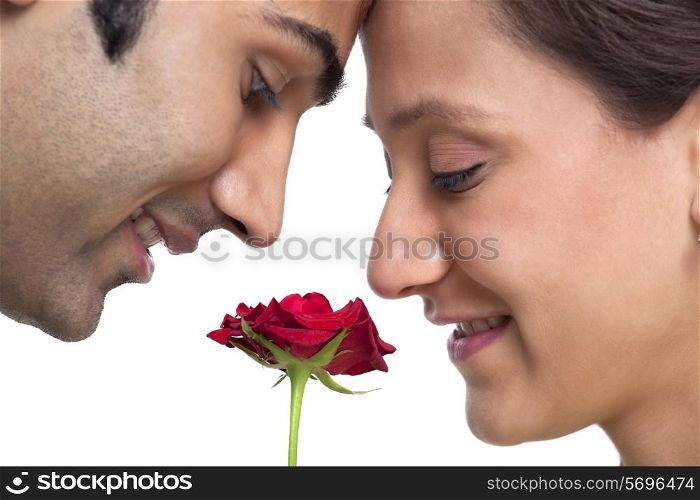 Young couple looking at rose
