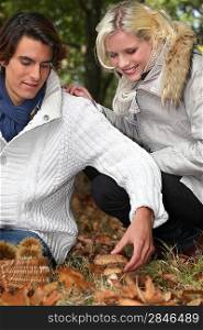 young couple picking mushrooms