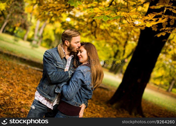 Young couple posing in the autumn park