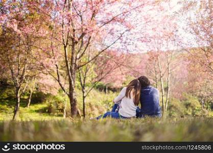 Young couple walking in the park and looking cherry blossoms tree