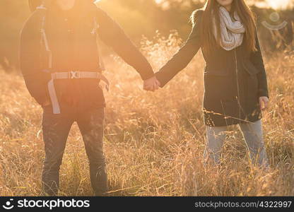 Young couple walking through field, holding hands, mid section