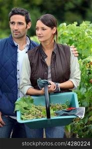 young couple working in a vineyard