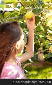 Young cute girl picking green apple from tree at garden