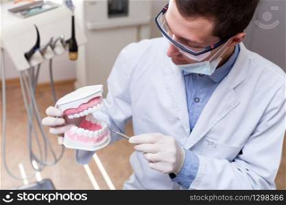 Young dentist in the office working with artificial jaw. Young dentist working in the office