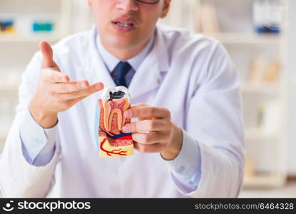 Young dentist working in the dentistry hospital