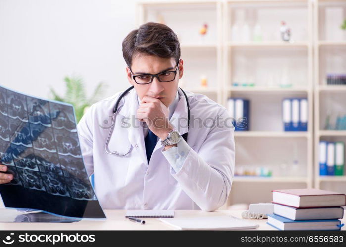 Young doctor looking at x-ray images in clinic