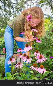 Young dutch woman smelling purple echinacea flower in garden