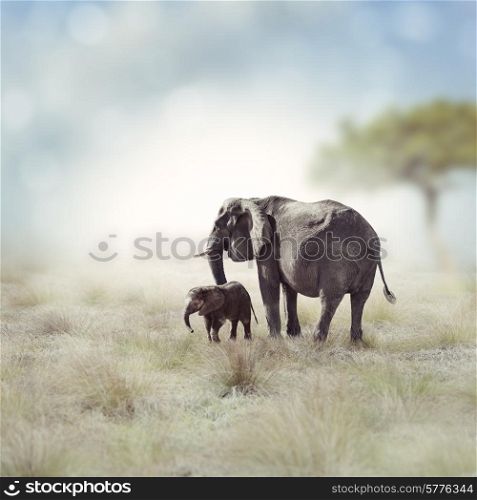 Young Elephant With Its Mother