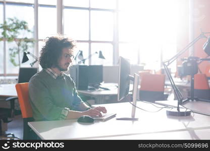 Young Entrepreneur Freelancer Working Using A computer In Coworking space