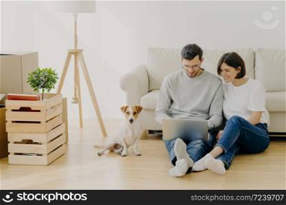 Young European family couple relax during home renovation, focused in laptop computer, plan redecoration, sit near couch with favourite pedigree dog, boxes with personal stuff and floor lamp