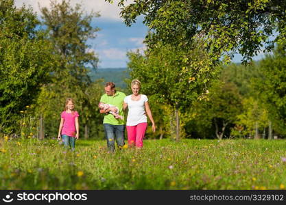 Young family with baby having a walk on a green meadow in the summer sun