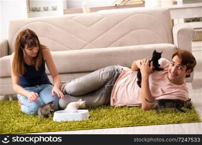 Young family with kitten playing at home