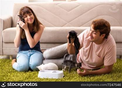 Young family with kitten playing at home
