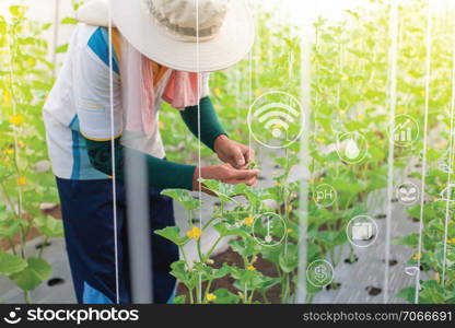 young farmer in green house and argo management farming graphic