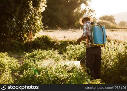 Young farmer spraying organic fertilizer with manual pump tank wearing an old hat and plaid shirt