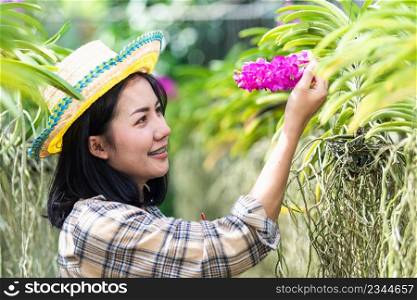 Young farmers female walking to checking orchid gardening farm, woman check quality of orchid flower in garden greenhouse, Agricultural concepts
