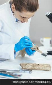 Young female archaeology researcher in laboratory analyzing ancient antler tool.. Archaeology Researchers Analyzing Ancient Antler Tool in Laboratory