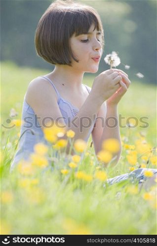 young female child sitting in field of buttercups blowing a dandelion