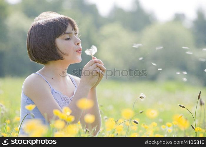 young female child sitting in field of buttercups blowing a dandelion with room for copy