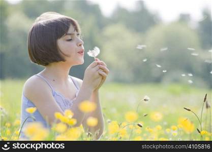 young female child sitting in field of buttercups blowing a dandelion with room for copy