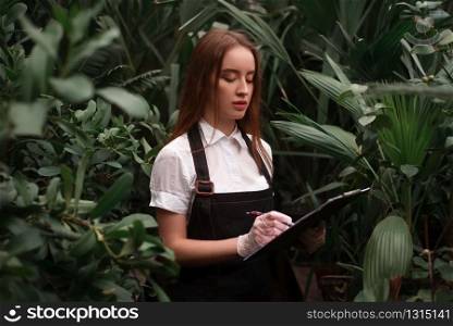 Young female florist with clipboard in hands at the greenhouse