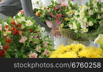 Young Female Florist Working In Flower Shop